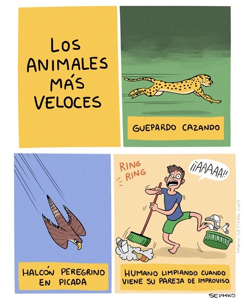 Los animales mas veloces
