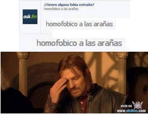 [Imagen: El-tipo-homofobico-por-las-ara%C3%B1as.jpg]