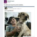 Un perro poniendo estados de facebook