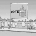 Elecciones democraticas