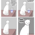 La vida desde la perspectiva de un gato