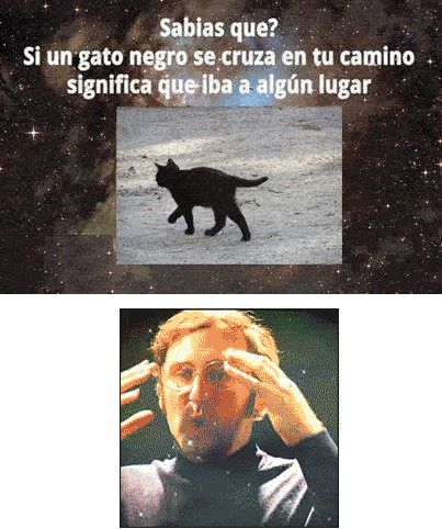 Un gato negro en tu cmaino