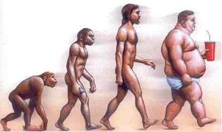 Evolucion moderna