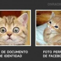 Foto de documento de identidad vs facebook