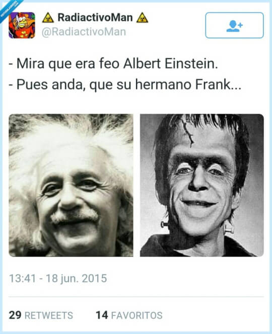 Los hermanos Einstein