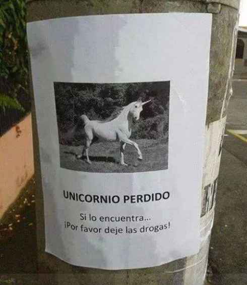 Se busca unicornio perdido