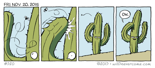 No es tan facil ser un cactus