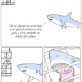 En realidad los tiburones quieren ayudarnos