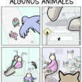 Animales vs el mundo real