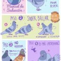 Manual de seduccion de las aves