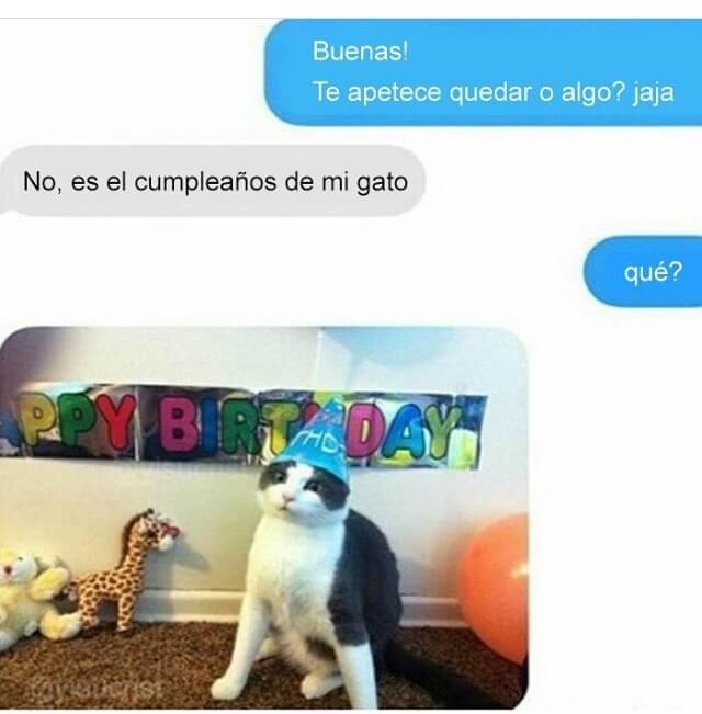 Cuando es el cumpleaños del gato