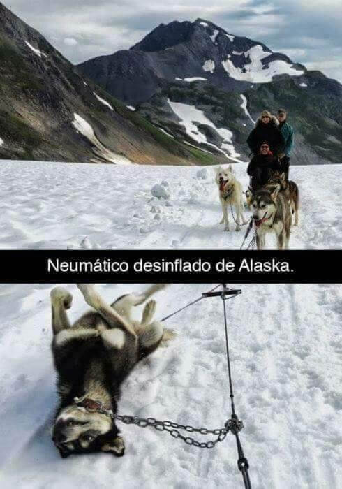 Cuando se pincha un neumatico en Alaska
