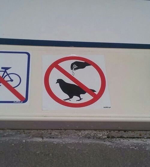 Prohibido sazonar aves
