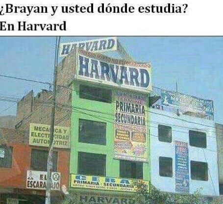 Yo estudio en Harvard