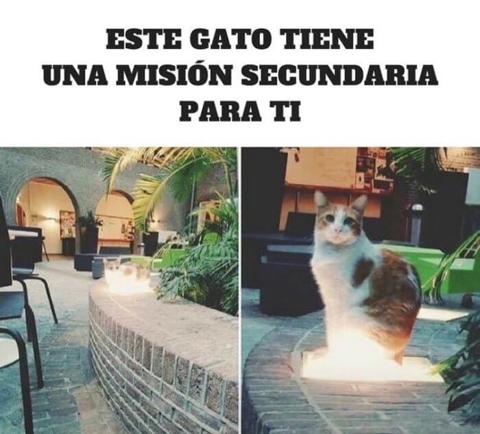 El Gato tiene una mision secundaria