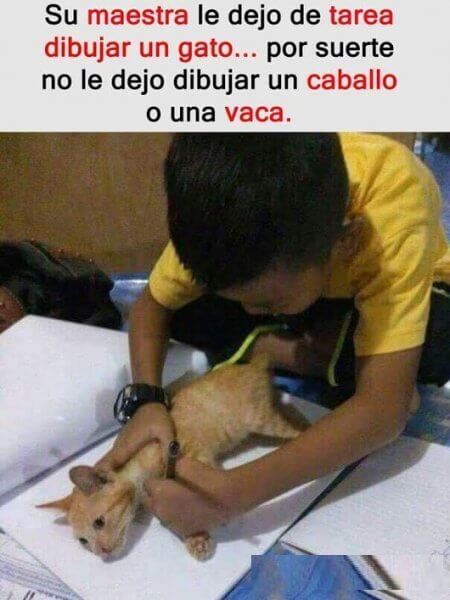 La maestra lo mando a dibujar un gato
