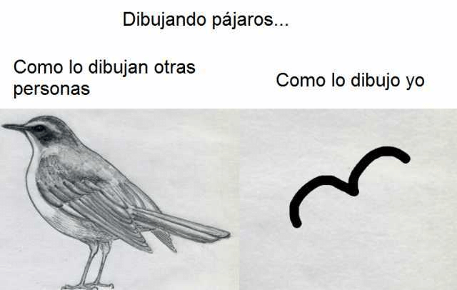Dibujando pájaros