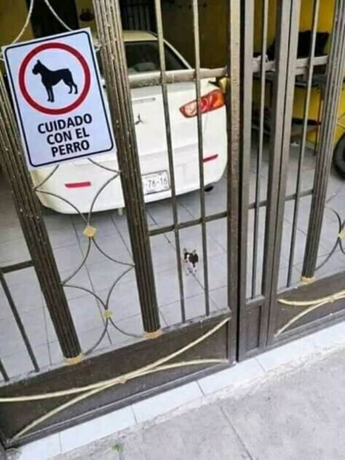 Tenga cuidado con el perro