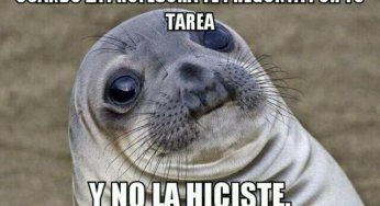 Esta es tu cara cuando no haces la tarea