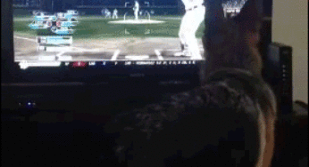 Los perros pueden ver televisión
