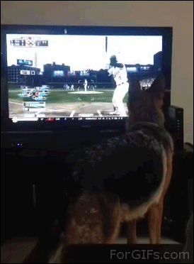 No es bueno que los perros vean television
