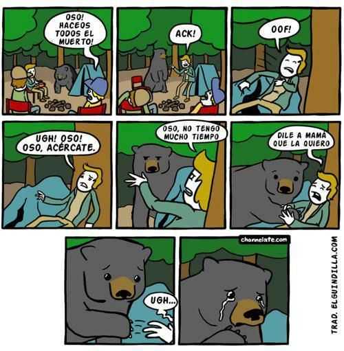 Esto podria salvar tu vida ante el ataque de un oso