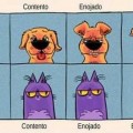 Expresiones de gatos vs perros