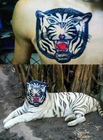 Tatuajes de tigre