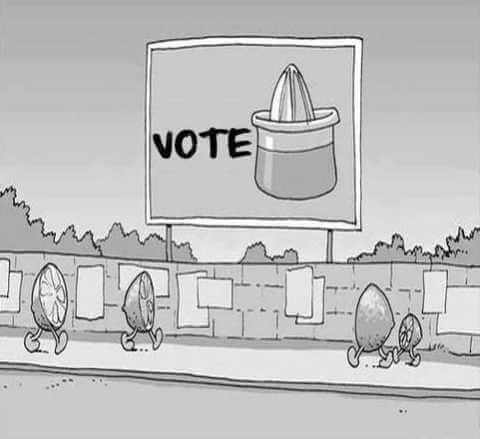Elecciones democraticas
