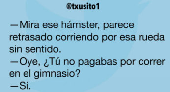 El hamster que se parece a los humanos
