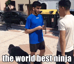 El mejor ninja del mundo