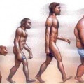 Evolucion moderna