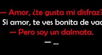 Te gusta mi disfraz
