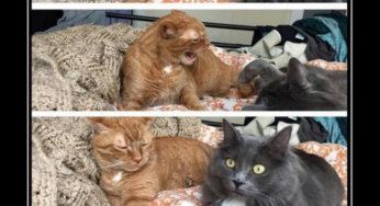 Cuando checas si tu novia sigue enfadada