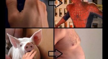Esto increíblemente explica porque puedes ser gordo
