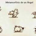 La metamorfosis de los angeles