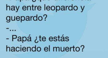 Preguntas que tu padre no sabrá como responder