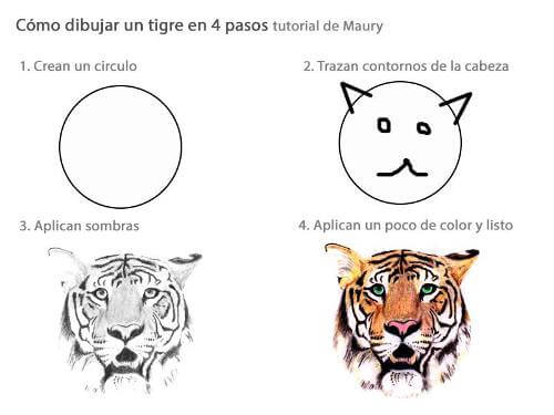 Te enseño a dibujar un tigre en 4 pasos