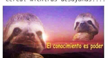 La magia del leer por las mañanas
