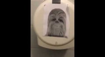 El video que cambiara tu vida