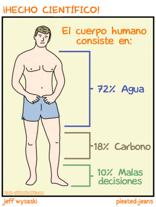 En que se divide el cuerpo humano