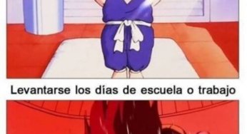 Fin de semana vs días de semana