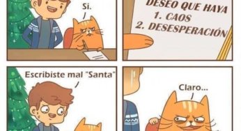 Si tu gato escribiera una carta para santa