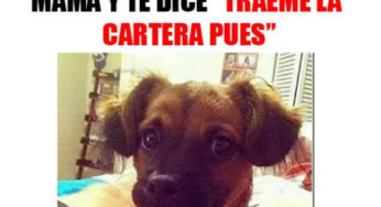 Cuando tu madre cumple tus exigencias