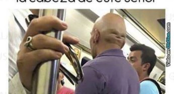 Ojala todos fuéramos tan felices como esta cabeza
