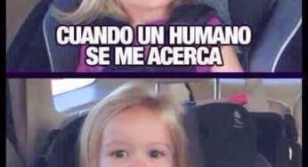 Preferimos un perro a que un humano
