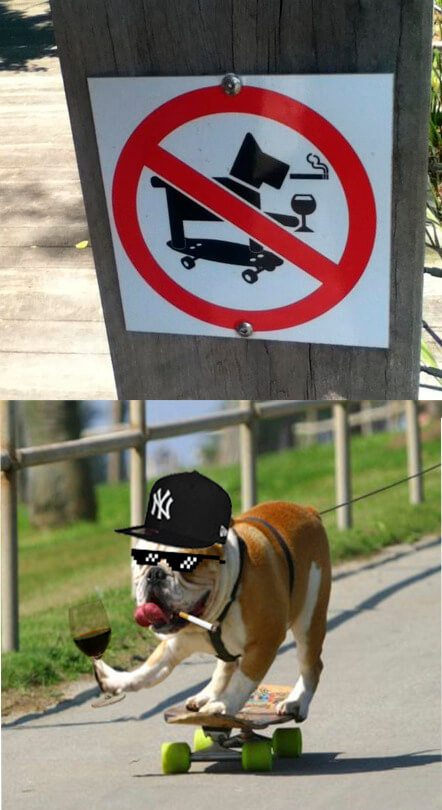 Prohibido perros que fumen y beban