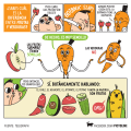Diferencia entre vegetales y frutas