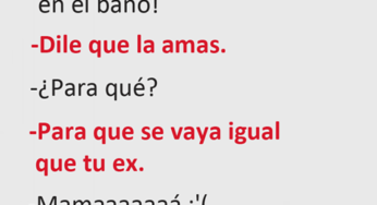 Tu madre siempre tendrá el mejor consejo contra las arañas