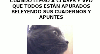 Parece que hay examen